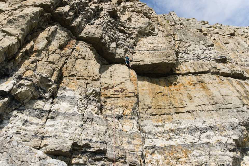 Halfway up a cliff on the Dorset coast.